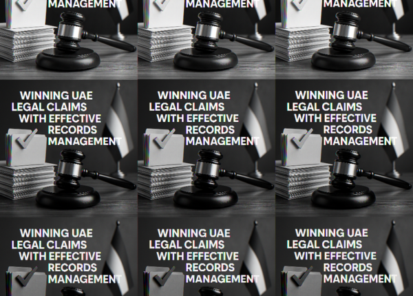 Legal consultant reviewing daily reports and notices in a Dubai office.